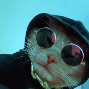 Meet your Posher, Kyra